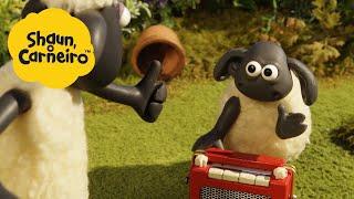 A nova TV Shaun, o Carneiro [Shaun the Sheep]  Episódio Completo | Cartoons Para Crianças