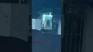 TERNYATA SETAN KALO LAGI HUJAN NEDUH JUGA YA #trending #viralvideo #shorts #horror #creepy #jin