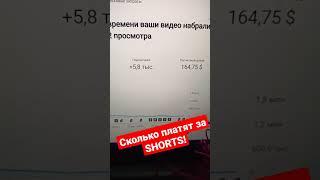 Сколько платят за Shorts видео?