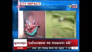 Malkangiri Rape Viral Video : Accused arrested - Etv News Odia