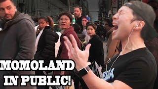 MOMOLAND - "BBoom BBoom" - DANCING KPOP IN PUBLIC!!!