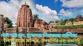 পুরী সাইটসিন 2024 | Lingaraj Temple | Udaygiri Khandagiri | Dhauli | Mukteswara - Siddheswara Temple