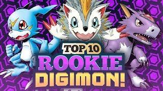 Top 10 Rookie Digimon!