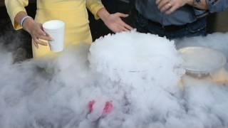 Fun With Liquid Nitrogen - Cool Science Experiment