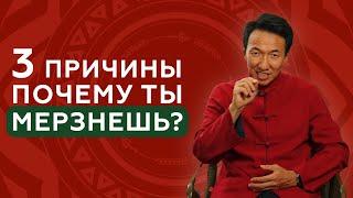 3 пути ПРОНИКНОВЕНИЯ ХОЛОДА в твое тело! ЭТО СТОИТ ЗНАТЬ // #чжудши #тибетскаямедицина #тибет