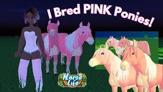 I Bred PINK PONIES In Horse Life Roblox!