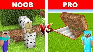 Minecraft NOOB vs PRO: HIDDEN BASE in Minecraft!