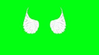 Green Screen Angel Wings video effects,Angel wings green screen video ,