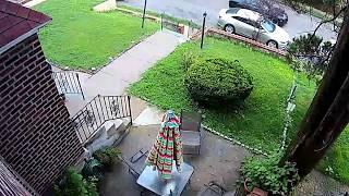 FedEx Review - Stolen Packages - Only when shipped FedEx