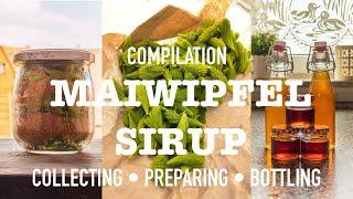 making maiwipfelsirup from start to finish (compilation)