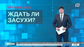 Урожай-2022: ждать ли засухи? | По факту