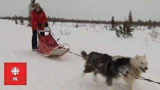 Outside with Ryan Snoddon: How to dogsled