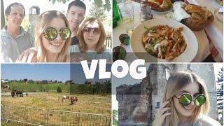 VLOG- Iznenađenje za rođendan i dan s obitelji