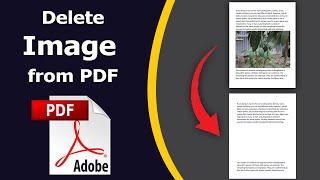 How to Delete Images from a PDF Document using adobe acrobat pro dc