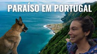 Eu e meu cachorro viajamos para a ILHA mais BONITA de PORTUGAL