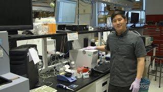 Next Generation Sequencing 4: Checking Nucleic Acids with an Agilent BioAnalyzer - Eric Chow (UCSF)
