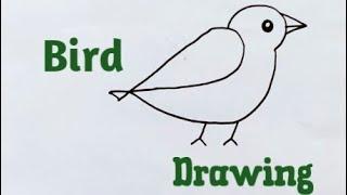 Easy Bird Drawing  / How to Draw a Bird / Easy Drawing Step by Step 