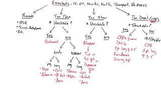 NREMT Psychomotor: Static Cardiology Part 3