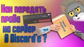  Как передать права на сервер другому пользователю в Discord'e 