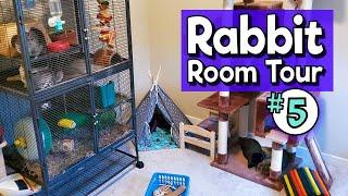 RABBIT ROOM TOUR 5 - Best Bunny Setups!