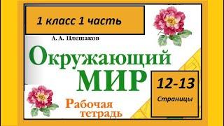 Окружающий мир 1 класс Что общего у разных растений? страница 12-13