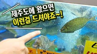 [ENGSUB] 제주도에 가면 맛봐야 할 특별한 생선회(서귀포 올레시장편)