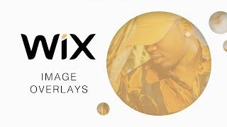 Add Wix Image Overlays to Your Website | Wix Fix