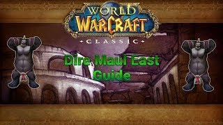 Classic WoW Dungeon Guide: Dire Maul East (56-60)