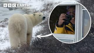 The ‘Anti-Zoo’ Way To View A Polar Bear | BBC Earth Unplugged