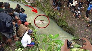 Sering Makan Manusia! Makhluk Mengerikan yg Muncul di Sungai Ini di Tangkap Warga