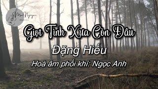 GIỌT TÌNH XƯA CÒN ĐÂU (2024) - ĐẶNG HIẾU [NHẠC SĨ: MAI NGUYỄN]