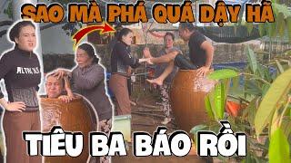 Ba Báo Quậy Đục Nước Yến Báo Phải Ra Tay Trị Hải Ka Giúp Mẹ Hương | Anh Ba Báo