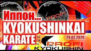 2020 -  KYOKUSHIN PROFI. INTERNATIONAL CUP.  KYOKUSHINKAI KARATE. Кумите. Точно в челюсть. Иппон.