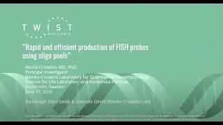 Rapid and efficient production of FISH probes using Oligo Pools | Nicola Crosetto