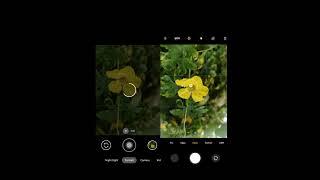 GOOGLE CAMERA VS REDMI (POCO X3) CAMERA RESULTS