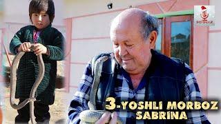 3-yoshli morboz qiz haqida.Dunyoga mashxur Samarqandlik morboz Alisher Yarmatovning nevarasi Sabrina