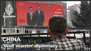 China's ‘wolf warrior’ diplomacy criticised abroad, praised at home