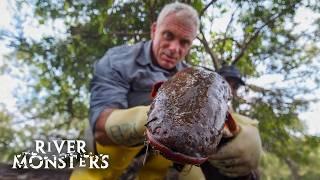 River Monsters Full Episode - Season 3, Episode 6 - Electric Executioner