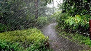 Sleep Instantly with Heavy Rain Sounds - White Noise ASMR for Insomnia