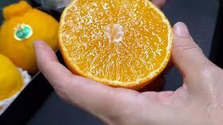 Japanese Kumamoto Dekopon & Beni Madonna Oranges