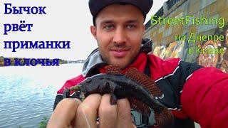 Бычок рвет приманки в клочья. Streetfishing на Набережной Днепра. Рыбалка на спиннинг в Киеве.