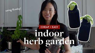 How to Make an Indoor Herb Garden Using Kratky Mason Jars (cheap + easy hydroponics)