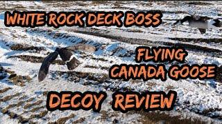 White Rock Deck Boss Flying Canada Goose Decoy Review