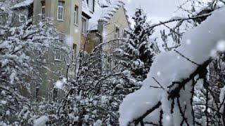 У любви зимой - короткий век... чудный баритон- слушать надо