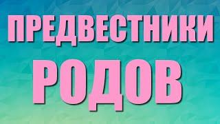 Предвестники родов. Когда пора ехать в роддом