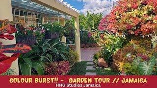 COLOUR BURST!! GARDEN TOUR || JAMAICA