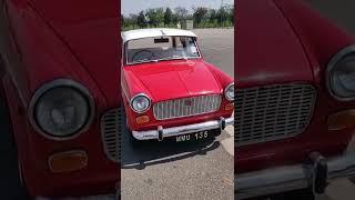 What a beauty - wish I could drive one of these Fiat Premier Padmini! #cars #vintage #shorts #love