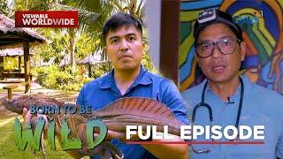 The Story of Wild Animals and Their Human Companion (Full Episode) | Born to be Wild