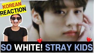 ENG) Stray Kids 『FAM』 Lyric MV REACTION 스트레이 키즈| KOREAN SIS REACTION