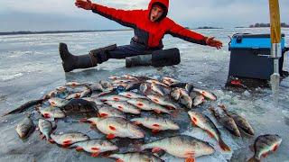 ЭТО ШОК! ОДЕЛ МИКРО БАЛАНСИР И НАКОСИЛ ОКУНЕЙ МОНСТРОВ! Ловля крупного окуня. Зимняя рыбалка 2023